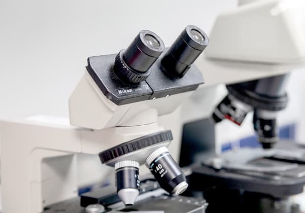Laboratory Services